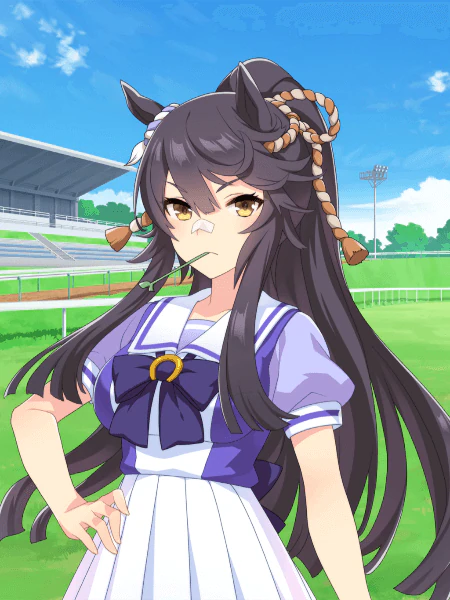 [Tracen Academy] Narita Brian